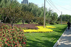 Municipal garden